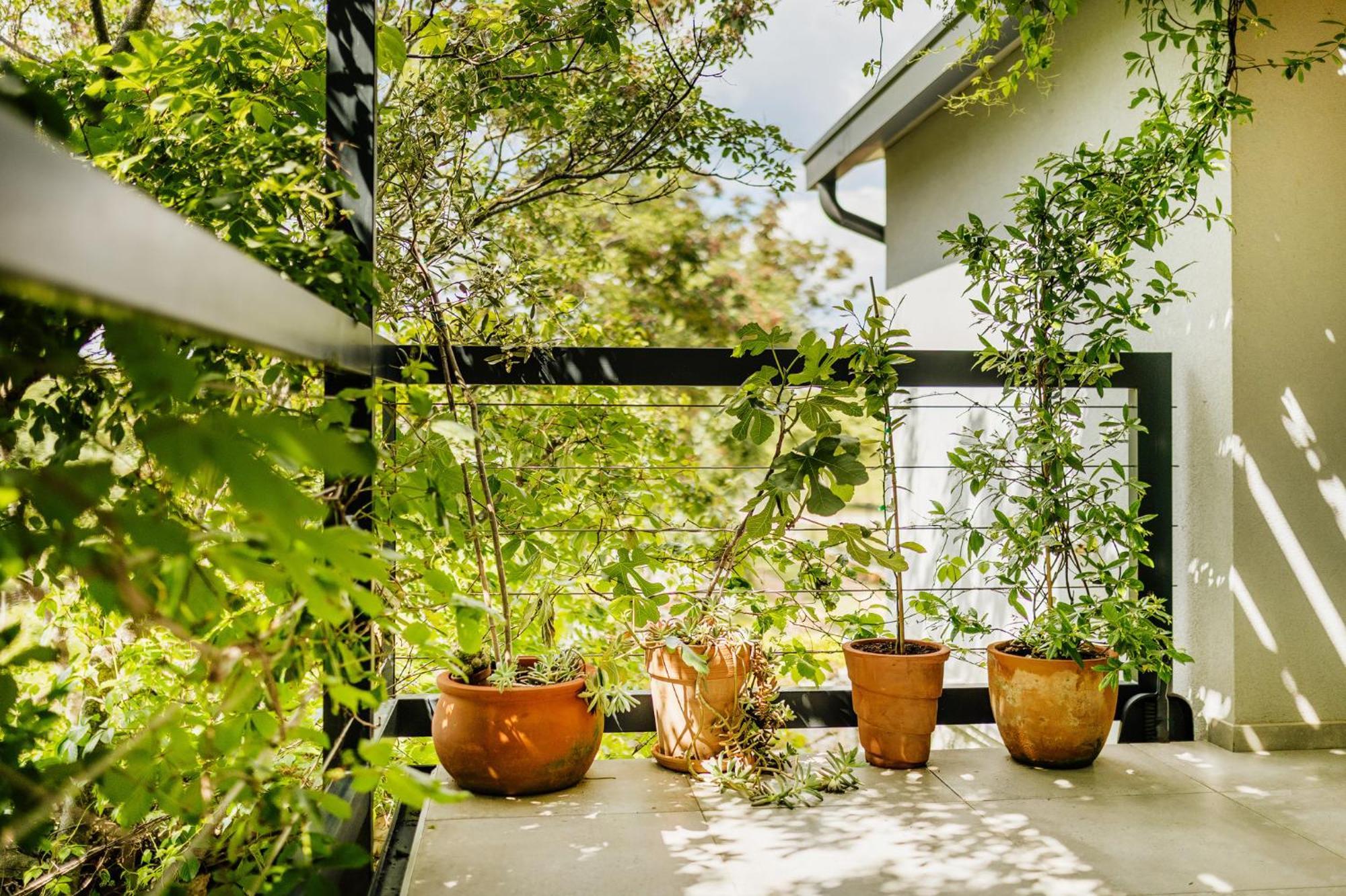 Peroj'S Green Oasis - Holiday Home Exteriör bild